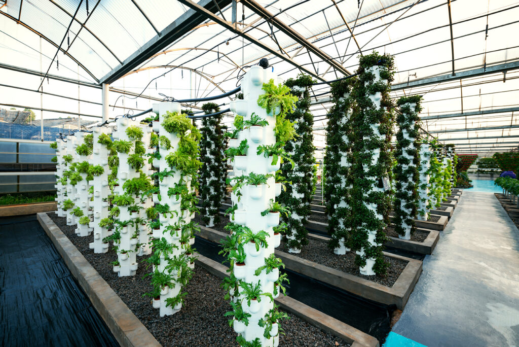 greenhouse vegetables 2025 03 18 11 55 34 utc